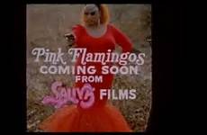 pink flamingos 1972 trailer