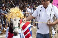 donkey mexico festival dressed mules people dress uber meat animal otumba trump article pleasure sick taxi disgusting pictured represent practice