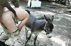 sex donkey fuck anal man femefun videos bonks gratification grabs ago years