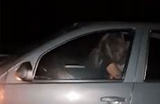 car sex man woman having motorway 70mph filmed going travelling jujuy said