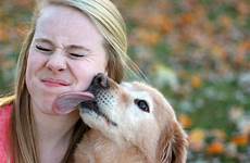 kiss rocklin veterinary