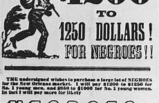slavery slaves razzismo 1853 emancipation niggers whites