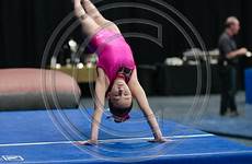 gymnasticsphoto gabriella