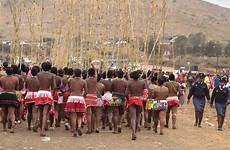 zulu reed dance south africa ceremony umemulo virginity culture festival african traditional kingdom dress ancient testing girls umhlanga southern royal