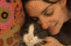 gif cat lady romy giphy cuddle everything has