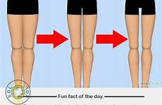 thigh gap gaps widest facts 4fg earth who has originally posted