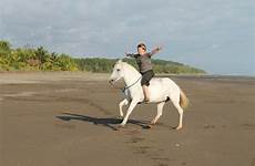 horse bareback riding ride train beach saddle bridle jumping obstacle without