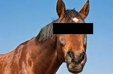 horse sex having man after stables going near metro admitted waters trafford shane taylor alamy barred