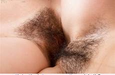 hairy pussy tribbing bush natural smutty