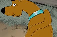 gay scooby doo sex anal xxx male dog feral rule34 ass zoophilia human canine beastiality anus doberman edit respond deletion