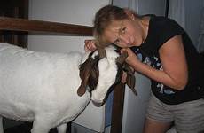 goat pet woman her pets cancer goatie queensland alive keep spends treatment who lifesaving year old brigham