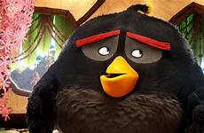 angry birds characters movie flock story