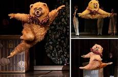 dancing bear hmmm bears picdump daily comments ballet hate thanks hmm go make dailyhaha izismile points