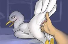 bird human feral avian xxx penetration zoophilia rule cloaca animal deletion flag options fingering
