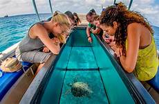glass bottom tours boat tour reef bonaire klein ocean hour marine nieuw header