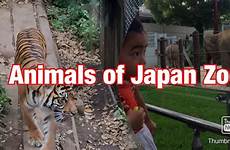 zoo japan animals