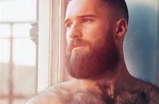 beards chest lister