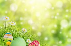 easter nature background holiday grass eggs event preview visit