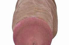 cyberskin real cock pecker brown perfect man bought toys customers also who