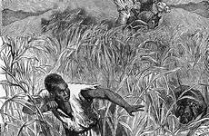 19th engraving abolition kean sinha slaves manisha horseback
