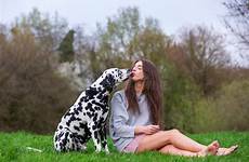 baiser dalmatien obtient vrouw dalmatische jonge kus hond krijgt