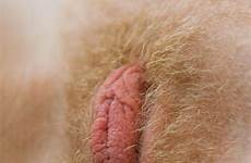 hairy pussy hair tiny lips big blonde dick beautiful mature long look silver clit clits blond hot puffy vaginas tumblr