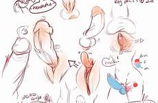 clitoris futanari penis pussy intersex insert ejaculation erect cum full penises package self condom multiple xxx large rule34 spread rule