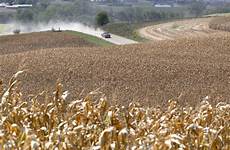 corn farm belt weather bad bubble drought sends house nebraska seeing analyst oregonlive myrepublica iowa suffering worst among states report