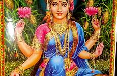 goddess hindu indian lakshmi devi gods goddesses god mother wallpaper kerala laxmi hinduism godess deities wealth divine yoga feminine sacred