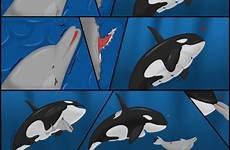 whale vore dolphin orca cum rule34 mouth open xxx rule respond edit