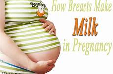 breasts pregnancy milk make