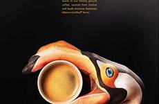 mccafe advertising print ads posters toucan leo burnett poster advertisement mcdonald ad advert propagandas york campaign campaigns creative marketing london