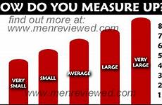penis size average chart length inches big increase penile penises graph men where girth matter measure erect charts lengths does