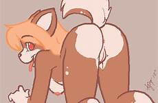 furry gif hentai gifs yiff xxx pussy ass nude female animated shaking cute butt booty dog anthro tumblr canine rule34