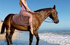 riding caballos caballo bareback amazona riders jinete