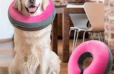 collar inflatable recovery cone isabelino goodboy donut inflable collars comfy pet talla kong protecting wounds