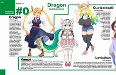 dragon maid kobayashi lucoa anime kanna san chi miss girls tohru subspecies elma humor infographics species kamui monmusu collection monster