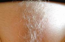 blonde bush pubic hair pussy vagina natural hairs hairy close platinum pubes tumblr haired true pussies grey sex teen bleached