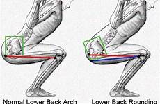 wink hamstrings rounding coluna vertebral squat agachamento squatting fix winking squats lumbar hamstring pelvic posterior columna