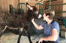 donkey woman baby rescued falls him who love share