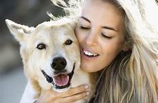 petting hond versterken relate acaricia perro pets infobron stockfresh