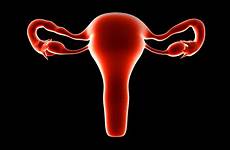 uterus macicy abnormal szyjki miscarriage dysplazja hpv uterine utero rak wylecz diabete fasong plassering przedsionka zapalenie gebärmutter risks verywellfamily