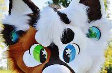 fursuit furry fursuits wolf donut anthro mouth furries draw