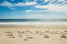 sunbathing beach woman women stocksy alone clements suzanne