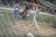 animal zoo abuse footage shocking staff ottawa secret shows area nationalobserver screenshot roughly