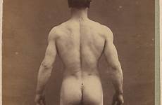 study 1890 musculature londe 1917 1858