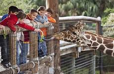 atlanta zoo zoos petting near parks wildlife