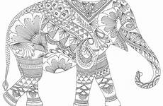 adult colouring coloring mandala pages elephant book books pakistani mindfulness gif friends giphy printable drawing color zentangle sheets grown artistic
