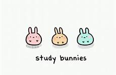 gif study studying bunnies share tenor