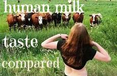 milk human cows cow comparing taste breast experiment produce do jersey guernsey better difference cream uses dairy sized were delishably
